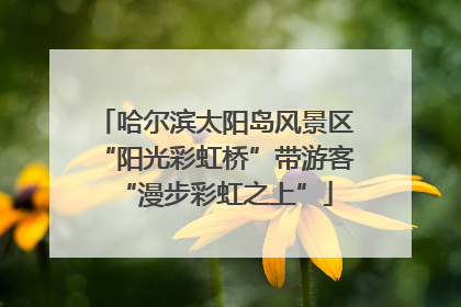 哈尔滨太阳岛风景区“阳光彩虹桥”带游客“漫步彩虹之上”