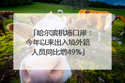 哈尔滨机场口岸：今年以来出入境外籍人员同比增49%