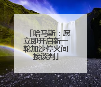 哈马斯：愿立即开启新一轮加沙停火间接谈判