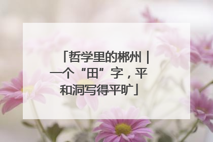 哲学里的郴州｜一个“田”字，平和洞写得平旷