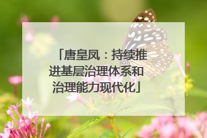 唐皇凤：持续推进基层治理体系和治理能力现代化