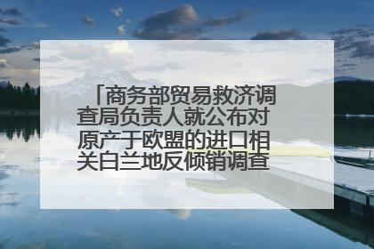 商务部贸易救济调查局负责人就公布对原产于欧盟的进口相关白兰地反倾销调查最终裁定答记者问