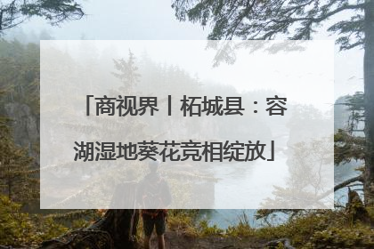 商视界丨柘城县：容湖湿地葵花竞相绽放