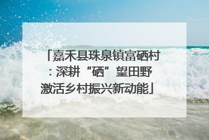嘉禾县珠泉镇富硒村：深耕“硒”望田野 激活乡村振兴新动能