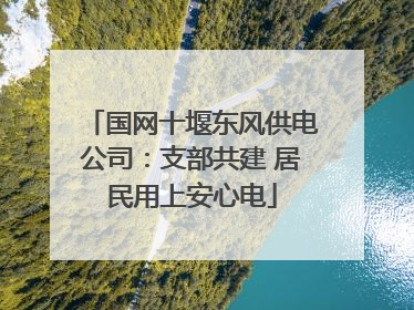 国网十堰东风供电公司：支部共建 居民用上安心电