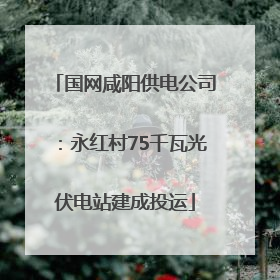 国网咸阳供电公司：永红村75千瓦光伏电站建成投运