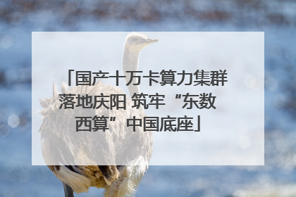 国产十万卡算力集群落地庆阳 筑牢“东数西算”中国底座