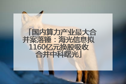 国内算力产业最大合并案落锤：海光信息拟1160亿元换股吸收合并中科曙光