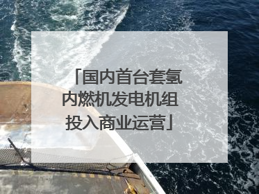 国内首台套氢内燃机发电机组投入商业运营