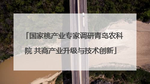 国家桃产业专家调研青岛农科院 共商产业升级与技术创新