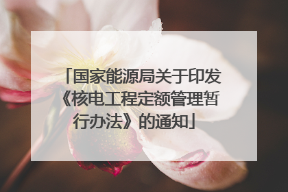 国家能源局关于印发《核电工程定额管理暂行办法》的通知
