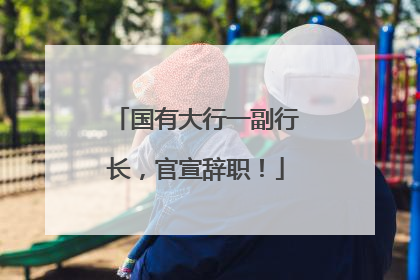 国有大行一副行长，官宣辞职！