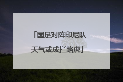 国足对阵印尼队 天气或成拦路虎