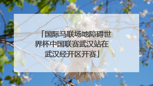 国际马联场地障碍世界杯中国联赛武汉站在武汉经开区开赛