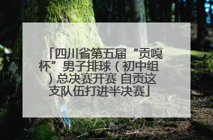 四川省第五届“贡嘎杯”男子排球（初中组）总决赛开赛 自贡这支队伍打进半决赛