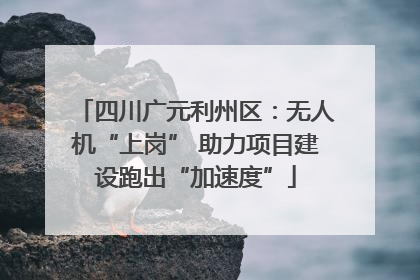 四川广元利州区：无人机“上岗” 助力项目建设跑出“加速度”