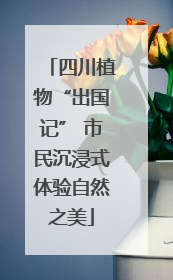 四川植物“出国记” 市民沉浸式体验自然之美