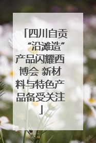 四川自贡“沿滩造”产品闪耀西博会 新材料与特色产品备受关注