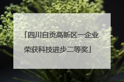 四川自贡高新区一企业荣获科技进步二等奖
