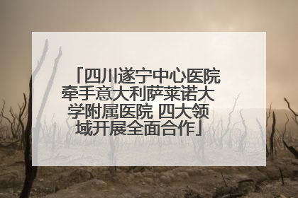 四川遂宁中心医院牵手意大利萨莱诺大学附属医院 四大领域开展全面合作