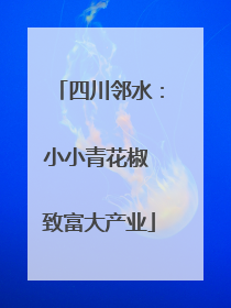 四川邻水：小小青花椒 致富大产业