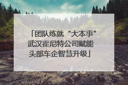 团队练就“大本事” 武汉霍尼特公司赋能头部车企智慧升级
