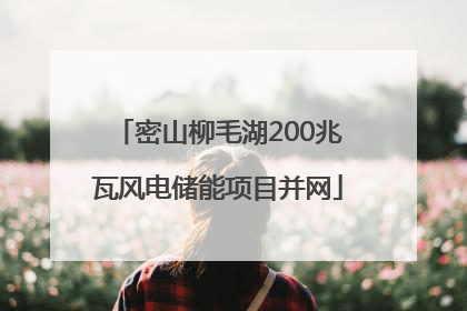 密山柳毛湖200兆瓦风电储能项目并网