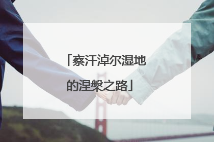 察汗淖尔湿地的涅槃之路