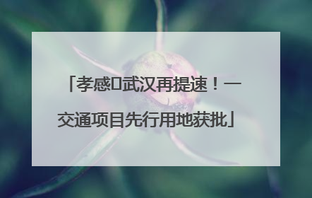 孝感⇋武汉再提速！一交通项目先行用地获批