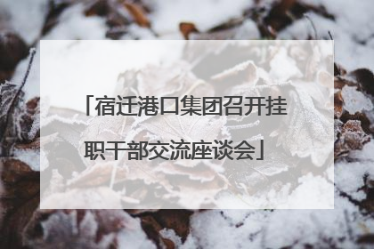 宿迁港口集团召开挂职干部交流座谈会