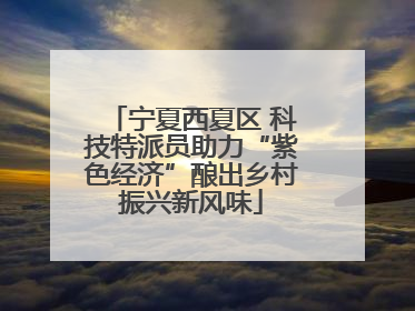宁夏西夏区 科技特派员助力“紫色经济”酿出乡村振兴新风味
