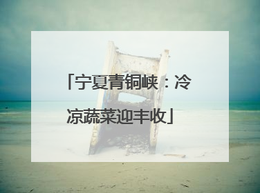 宁夏青铜峡：冷凉蔬菜迎丰收