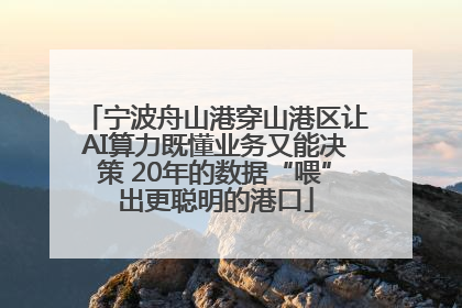 宁波舟山港穿山港区让AI算力既懂业务又能决策 20年的数据“喂”出更聪明的港口