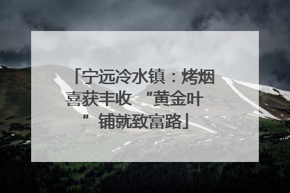 宁远冷水镇：烤烟喜获丰收 “黄金叶”铺就致富路