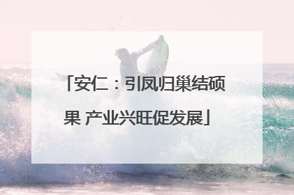 安仁：引凤归巢结硕果 产业兴旺促发展