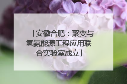 安徽合肥：聚变与氢氨能源工程应用联合实验室成立