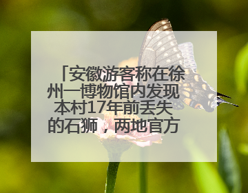安徽游客称在徐州一博物馆内发现本村17年前丢失的石狮，两地官方最新回应