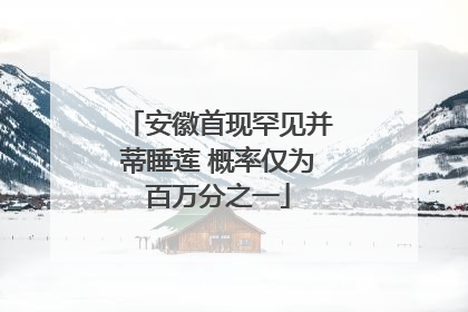 安徽首现罕见并蒂睡莲 概率仅为百万分之一