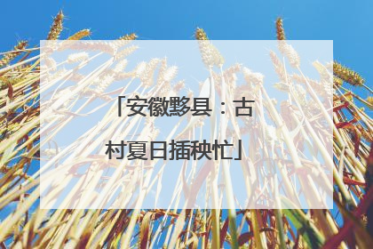 安徽黟县：古村夏日插秧忙