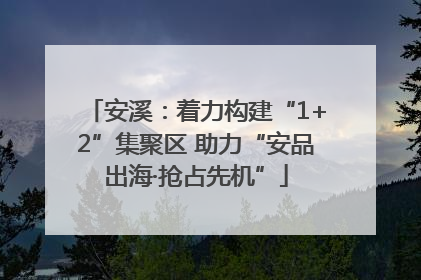 安溪：着力构建“1+2”集聚区 助力“安品出海·抢占先机”