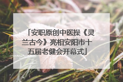 安职原创中医操《灵兰古今》亮相安阳市十五届老健会开幕式