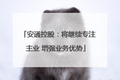 安通控股：将继续专注主业 增强业务优势