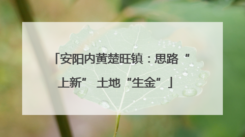 安阳内黄楚旺镇：思路“上新” 土地“生金”