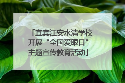 宜宾江安水清学校开展“全国爱眼日”主题宣传教育活动