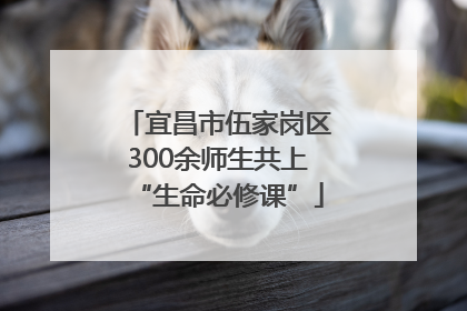 宜昌市伍家岗区300余师生共上“生命必修课”