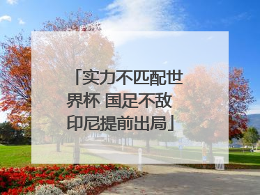 实力不匹配世界杯 国足不敌印尼提前出局