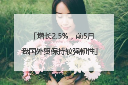 增长2.5%，前5月我国外贸保持较强韧性