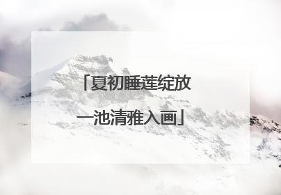 夏初睡莲绽放 一池清雅入画