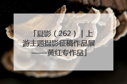 夏影（262）｜上游主题摄影征稿作品展——黄红专作品