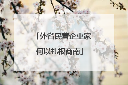 外省民营企业家何以扎根商南